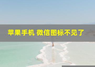 苹果手机 微信图标不见了